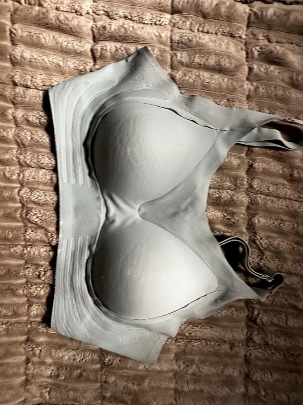 Light Blue Wireless Back-Closure Bra, Size 2XL